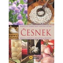 Česnek