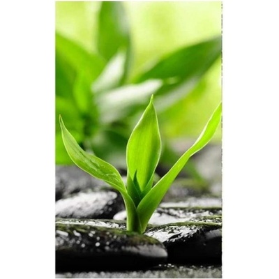 DIMEX ART Флизелинов фототапет дзен камъни 150 x 250 см