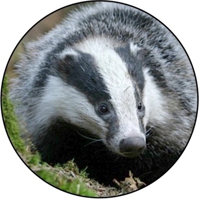 VIZINGR Jezevec MINI logo L1 č.153 – Zboží Dáma