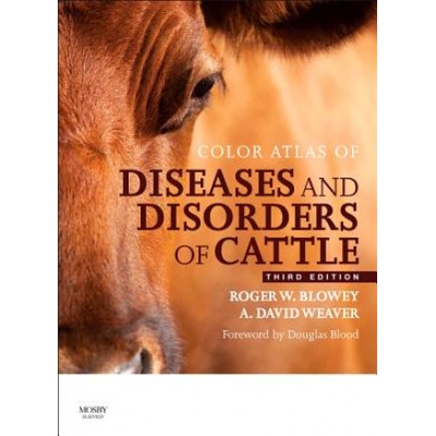 Color Atlas of Diseases and Disorders of Cattle - Blowey Roger