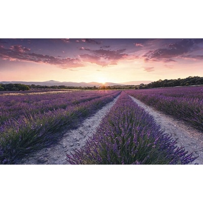 SHX9-052 Fototapeta vliesová Lavender Dream rozměry 450x280 cm