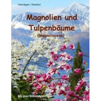 Image 1 of Magnolien und Tulpenbäume | Reto Eisenhut