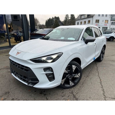 Cupra Terramar 2.0 TSI VZ DSG 195 kW