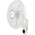 Dalap FW 40