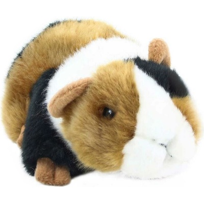 morče tříbarevné polodlouhosrsté 21 cm