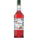 Giffard brusinkový sirup 1 l