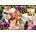 Alipson Puzzle - Puzzle Buds and Bloom - 1 000 piese