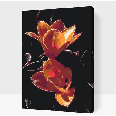 Vymalujsisam Malování podle čísel Tulipán