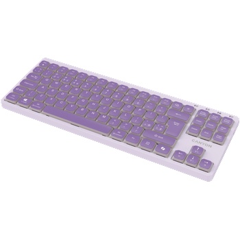 CANYON OnType 10 Low Profile Wired Violet (CNS-HKB10V)
