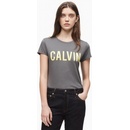 Calvin Klein Icon
