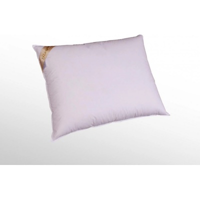2G polštář Regina 700g 70x50
