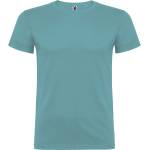 Roly beagle / Мъжка тениска - синьо-зелена xxxl (e6554-267-3xl)