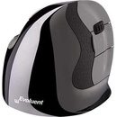 Evoluent VerticalMouse D LARGE VMDL