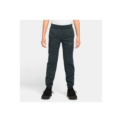 Nike Sportswear Multi Big Kids Dri-FIT Pants zelená