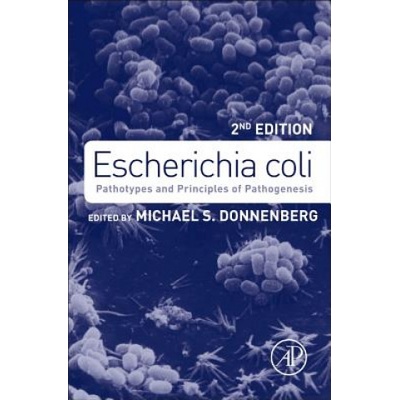 Escherichia coli | Michael Donnenberg