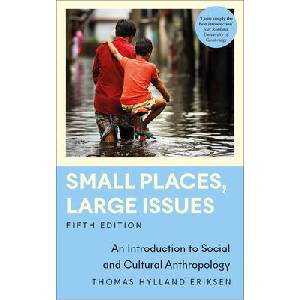 Small Places, Large Issues | Thomas Hylland Eriksen (ISBN: 9780745348193)