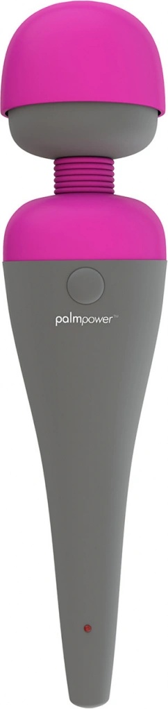 PalmPower Wand Massager
