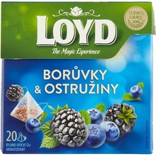 LOYD čaj Čučoriedky a černice 20 x 2 g