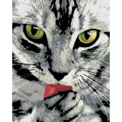 Zuty Malování podle číselMlsný kocourek 80 x 100 cm vypnuté plátno na rám 8596530013396