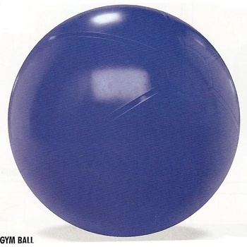gymball EXTRA 55cm