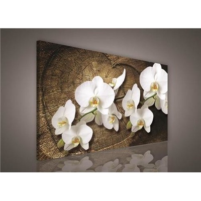 Obraz na plátne, rozmer 100 x 75 cm, orchidea na drevenom srdci, IMPOL TRADE PP417O1