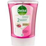 Dettol nn диспенсър 250 мл горски плодове