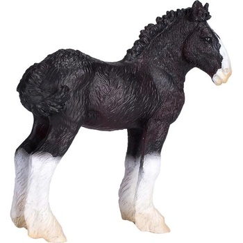 Mojo Мойо Ширски кон жребче