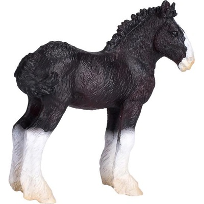 Mojo Мойо Ширски кон жребче