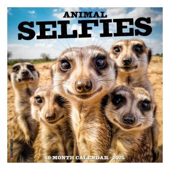 Willow Creek Press Calendars Animal Selfies 2026 12 X 12 Wall Calendar | Willow Creek Press