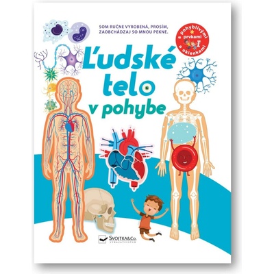 Ľudské telo v pohybe