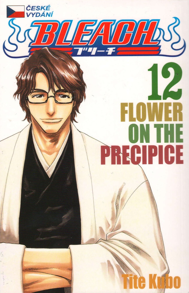 Bleach 12