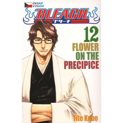 Bleach 12