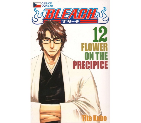Bleach 12