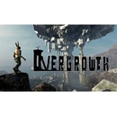 Overgrowth