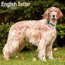 English Setter Square Dog Breed Wall 16 Month 2024