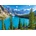Castorland - Puzzle Spring at Moraine Lake, Canada - 500 piese