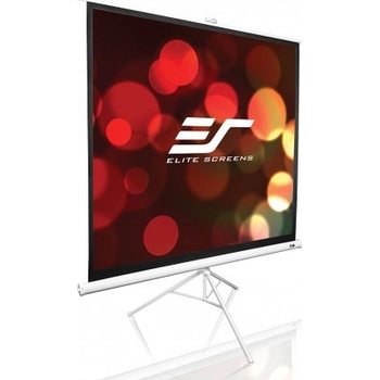 Elite Screens T99NWS1