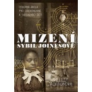 Mizení Sybil Joinesové