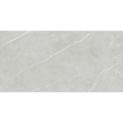 EBS Elit 60 x 120 cm silver matná 1,44m²