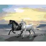 Smart Flamingo Creative set Flamingo Line Painting by numbers 40x50cm Horses (FSY246)
