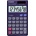 Casio SL 300 VER