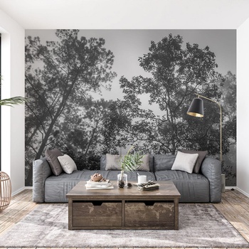 Image 1 of Decono Фототапет Сива Гора