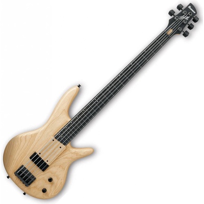 Ibanez GWB205