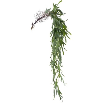 Kapradina zavěsná 'Staghorn zelená délka 104 cm