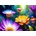 Enjoy - Puzzle Flowers in the Rain - 1 000 piese
