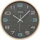 AMS 5513