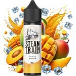 Steam Train Disposable Edition Triple Mango 20ml/60ml