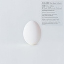 Wilco GHOST IS BORN CD