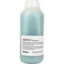 Davines Essential Haircare MINU šampon na barvené vlasy 1000 ml