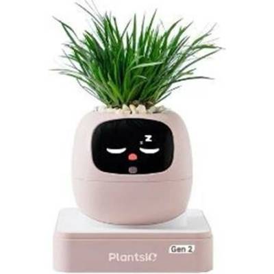 Plantsio Ivy 2 gen. růžový